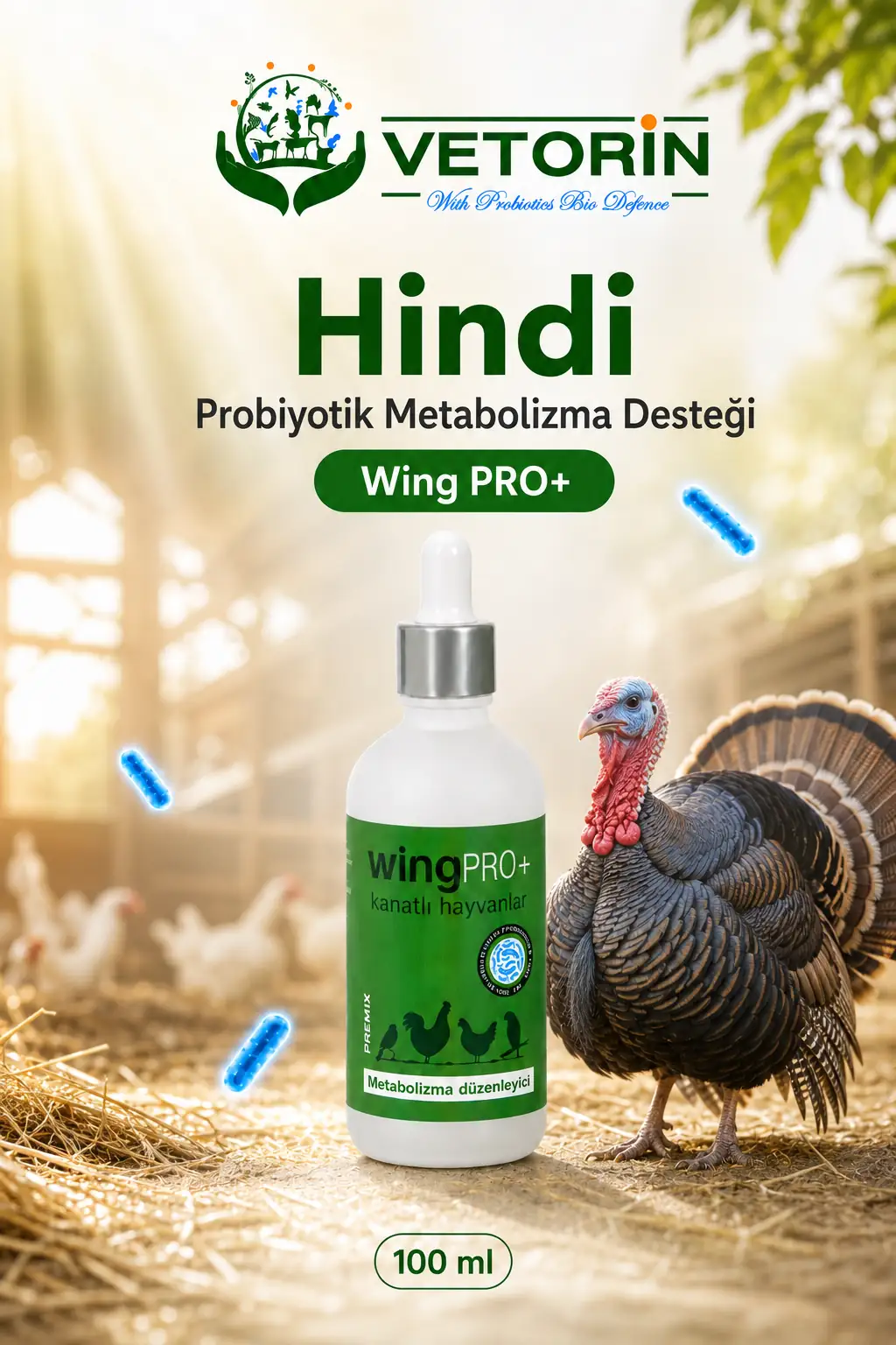 wingPRO+ Hindi probiyotiği